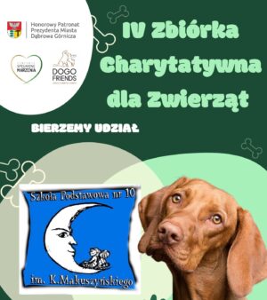 Zbiórka  dla zwierząt